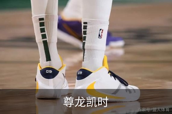 尊龙凯时简介